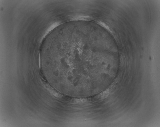 X0000067851219200604271636