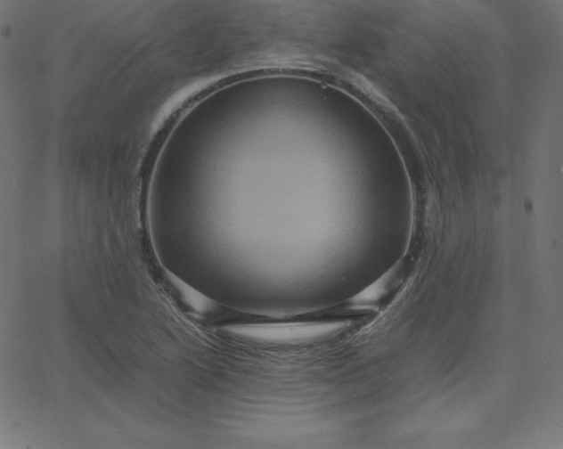 X0000067851222200604271636