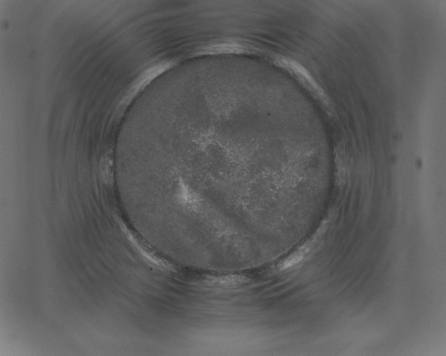 X0000067851225200604271637