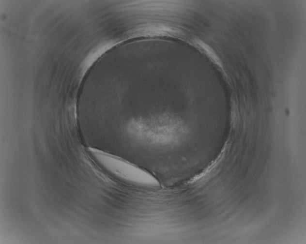 X0000067851226200604271637