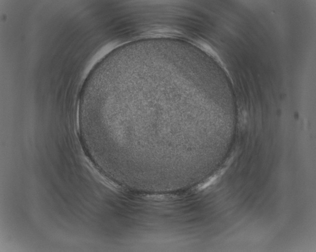 X0000067851227200604271637