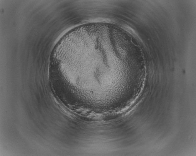 X0000067851228200604271637