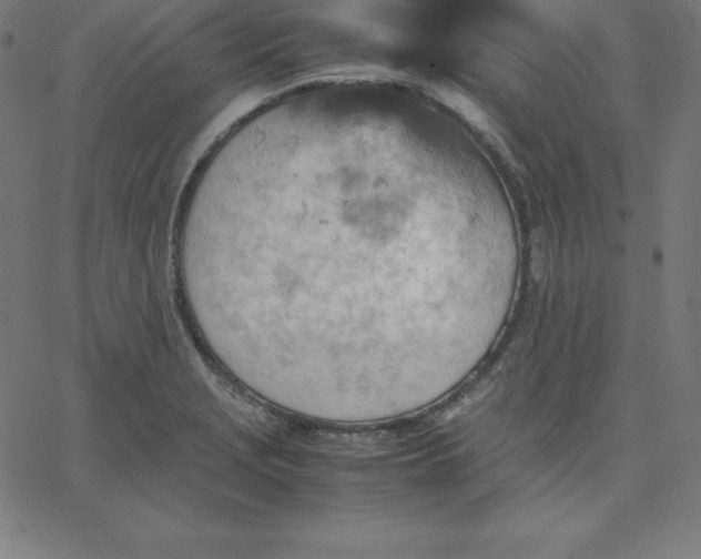 X0000067851229200604271637