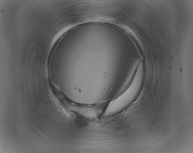 X0000067851230200604271637