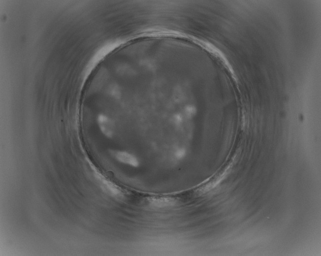 X0000067851231200604271637