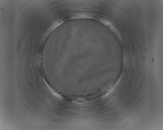 X0000067851233200604271637