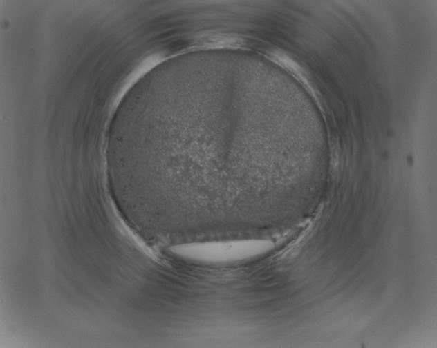 X0000067851235200604271637