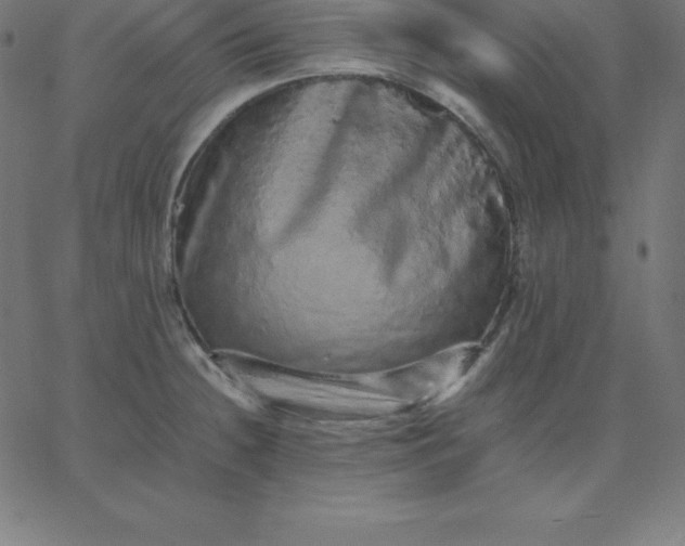 X0000067851236200604271637