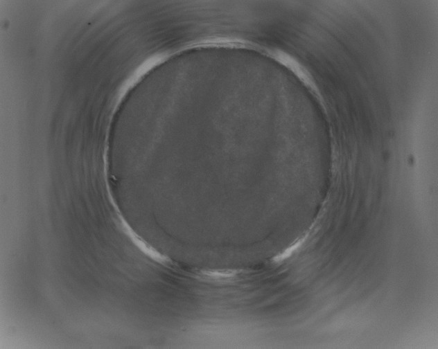 X0000067851237200604271637