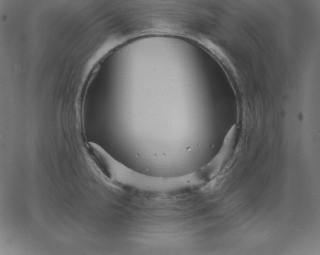 X0000067851238200604271637