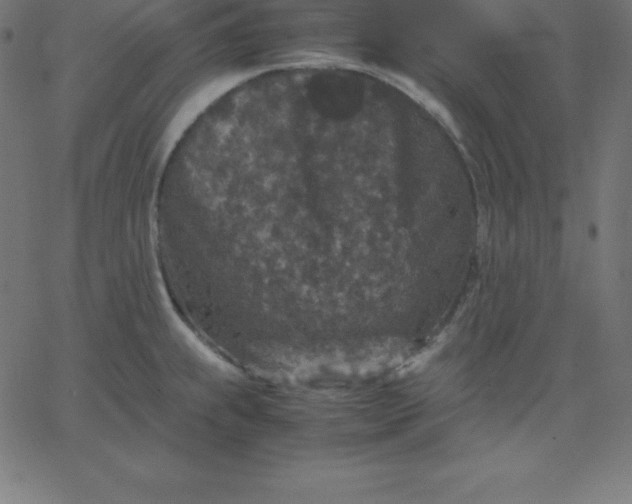 X0000067851239200604271637