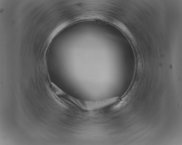 X0000067851242200604271637