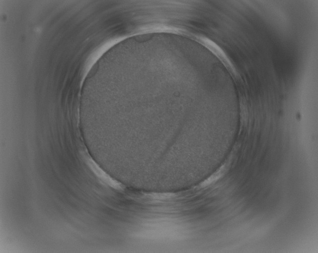 X0000067851244200604271637