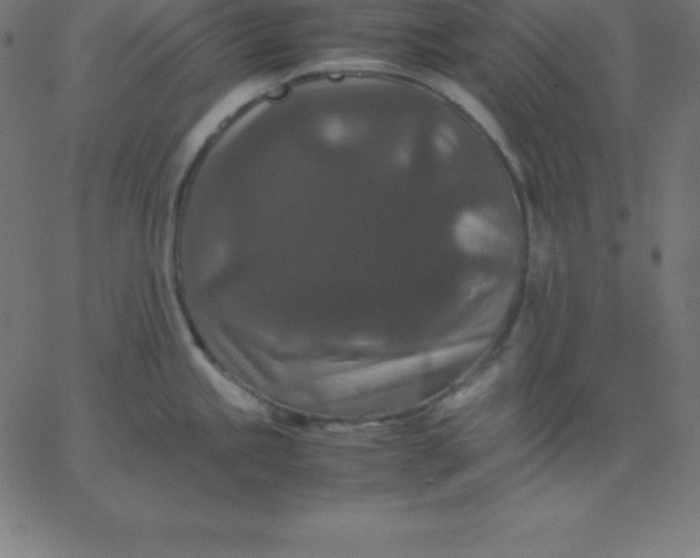 X0000067851245200604271637