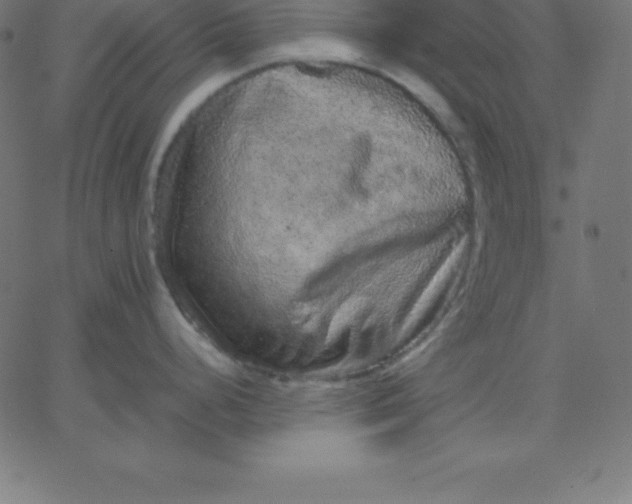 X0000067851248200604271637