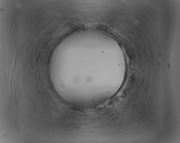 X0000067851249200604271636