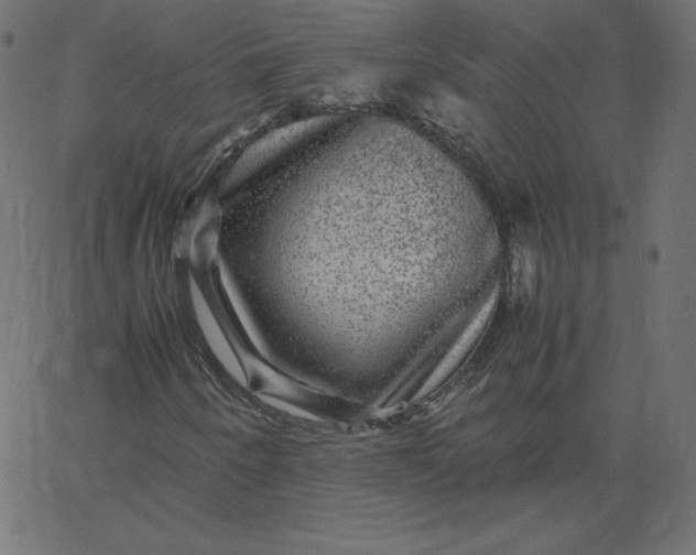 X0000067851250200604271636