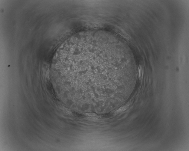 X0000067851251200604271636