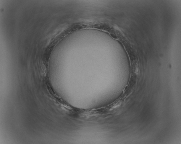 X0000067851253200604271636