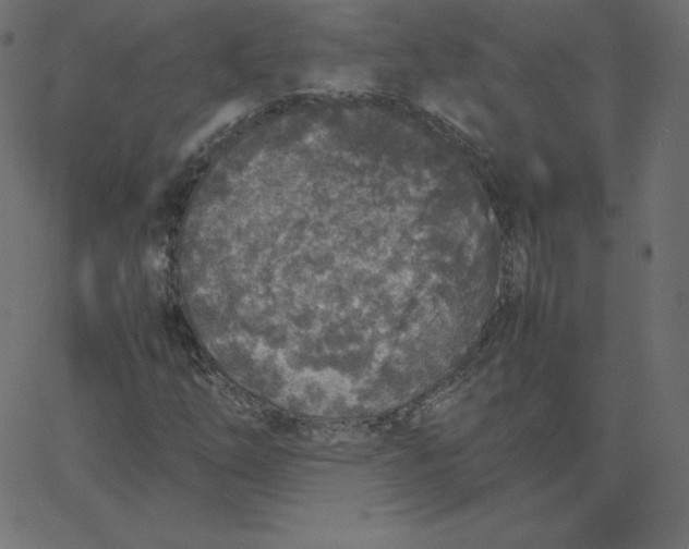 X0000067851254200604271636