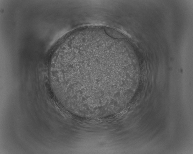 X0000067851255200604271636