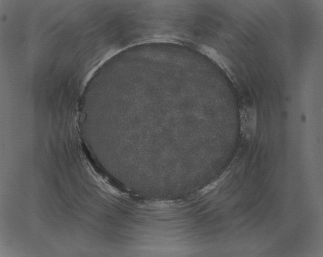 X0000067851260200604271636