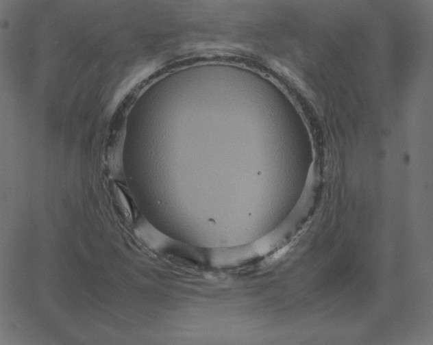 X0000067851261200604271636