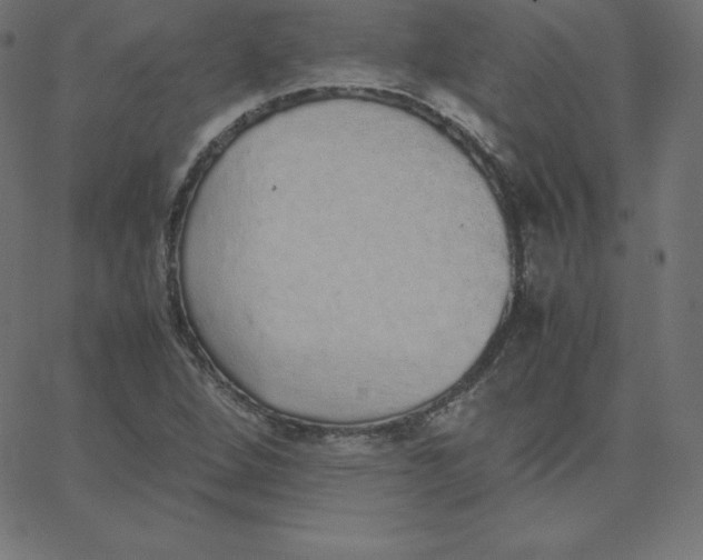 X0000067851264200604271636