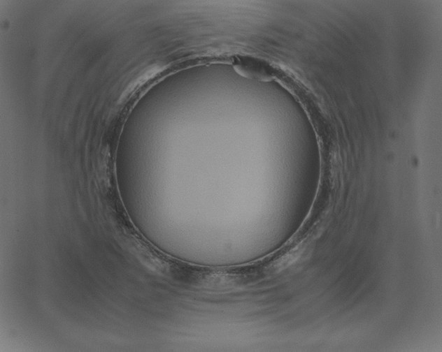 X0000067851265200604271636