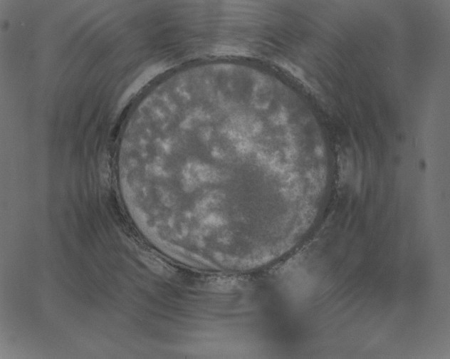 X0000067851266200604271636