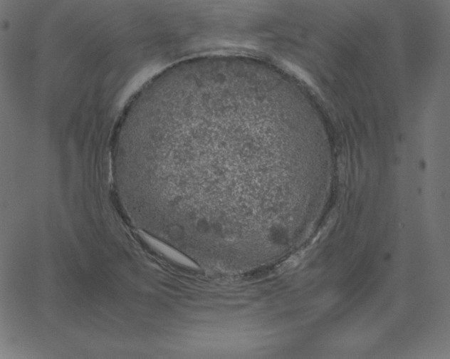 X0000067851267200604271636