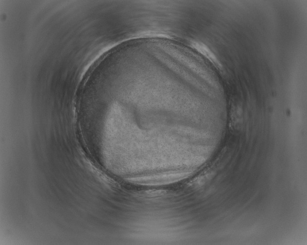 X0000067851268200604271636