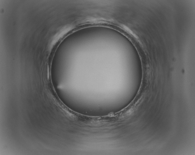 X0000067851269200604271636