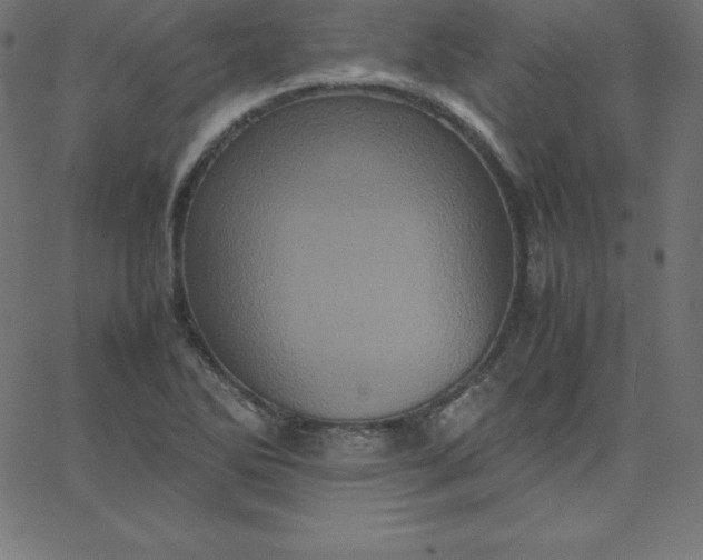 X0000067851270200604271636