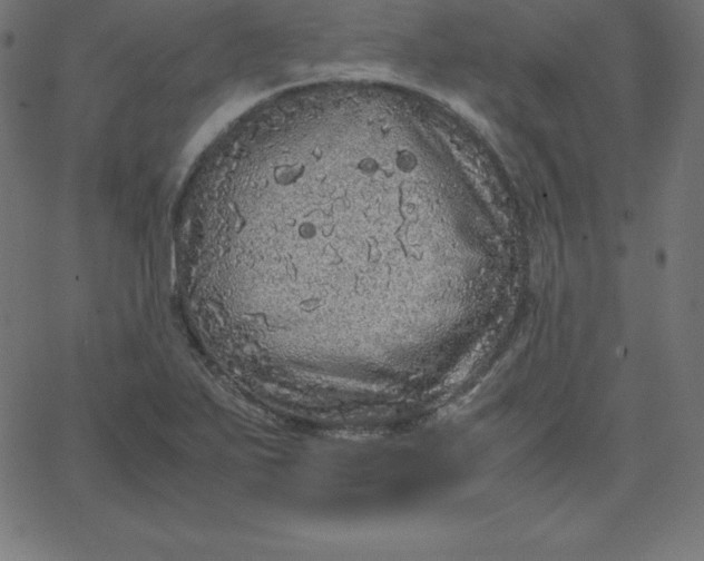 X0000067851271200604271636