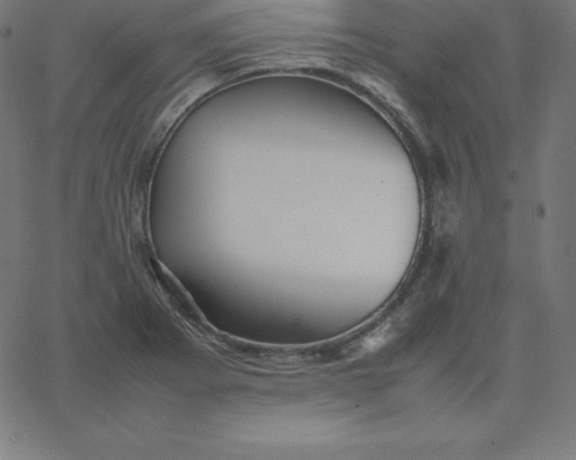 X0000067851273200604271636