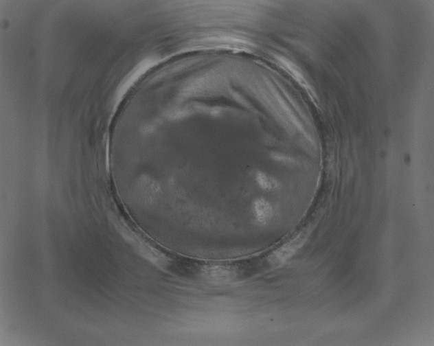 X0000067851275200604271636