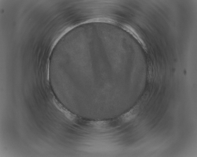 X0000067851276200604271636