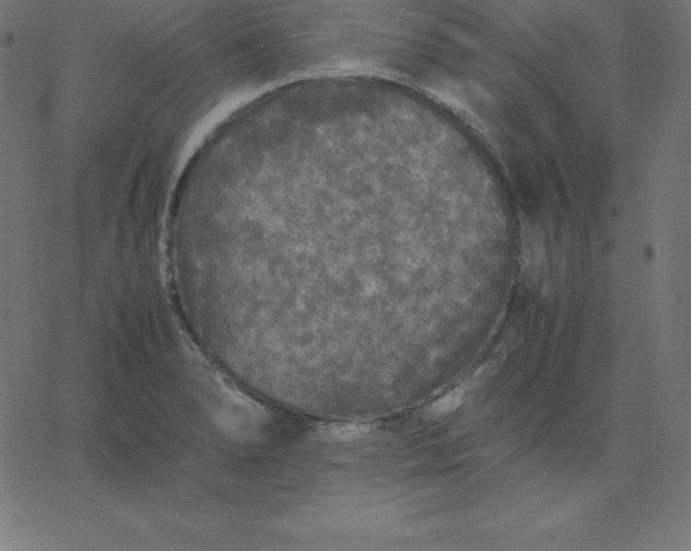 X0000067851278200604271636