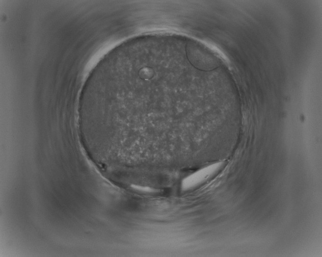 X0000067851279200604271636