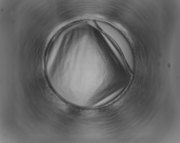 X0000067851280200604271636