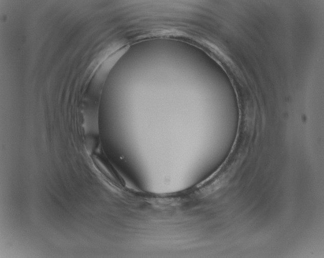 X0000067851281200604271636