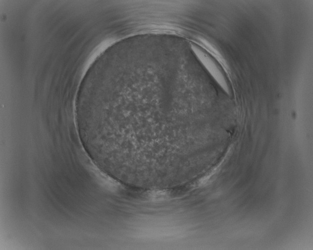 X0000067851283200604271635