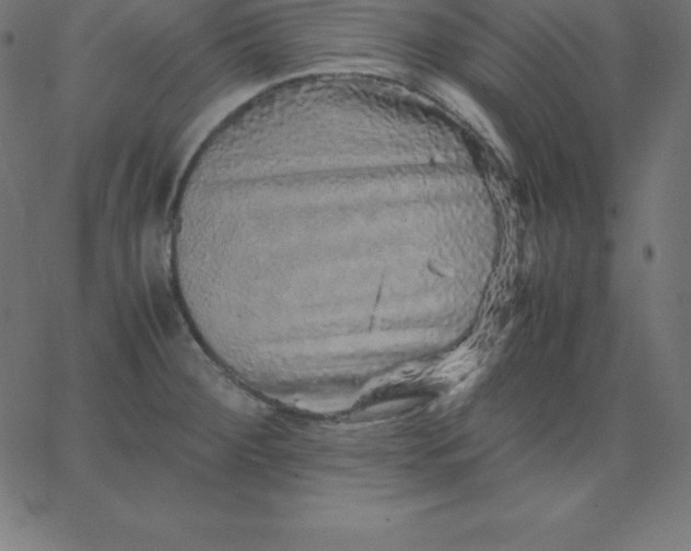 X0000067851284200604271635