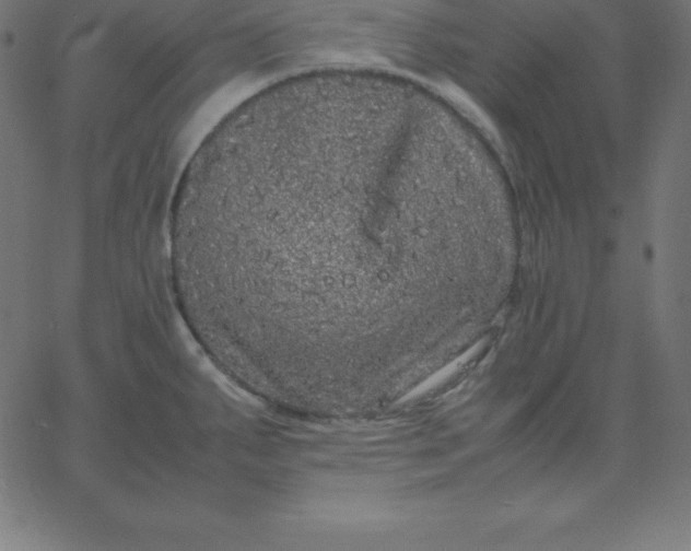 X0000067851287200604271635