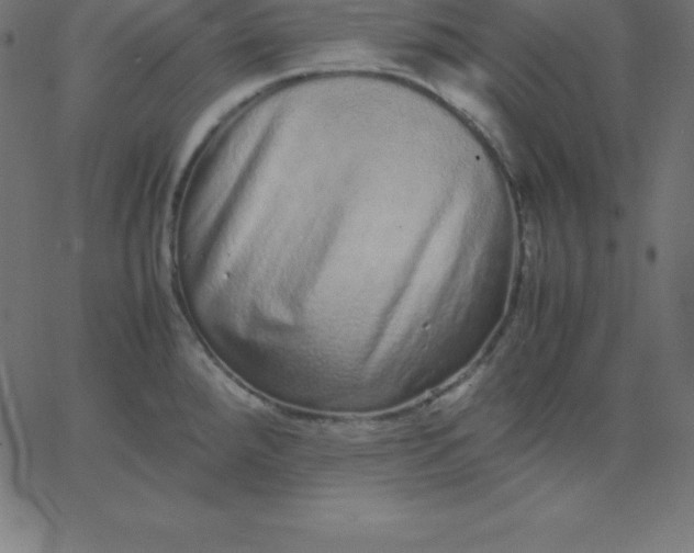 X0000067851288200604271635