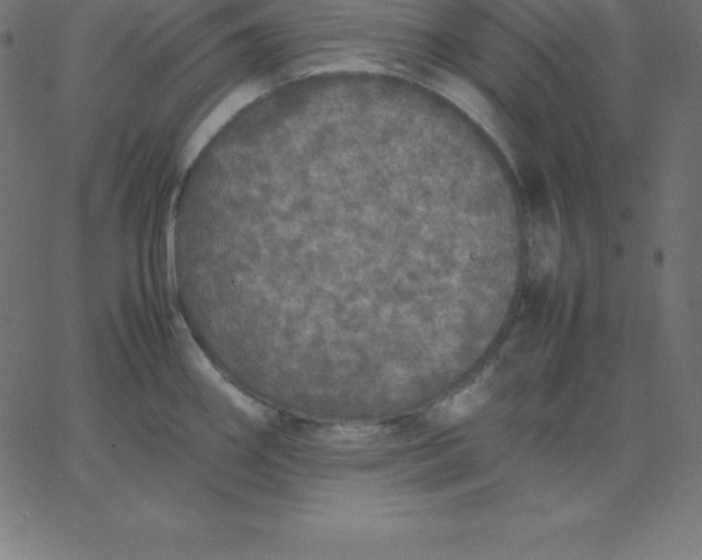 X0000067851290200604271635