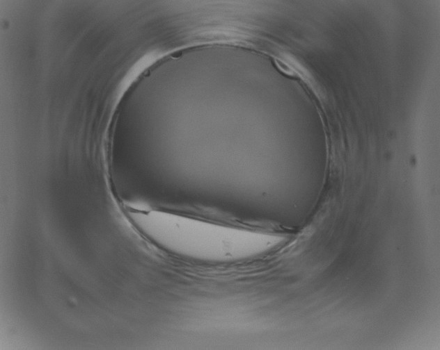 X0000067851291200604271635