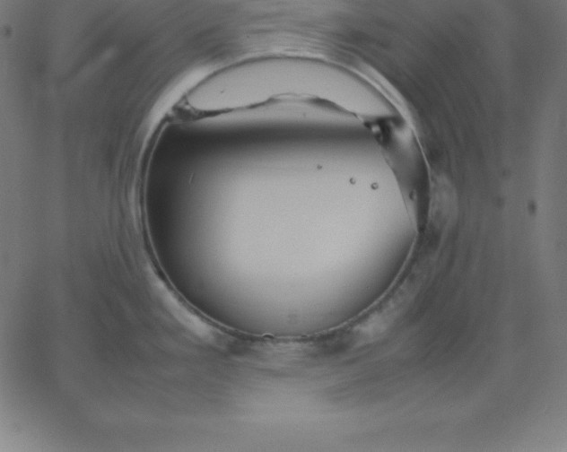 X0000067851293200604271635