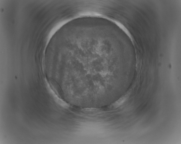 X0000067851295200604271635